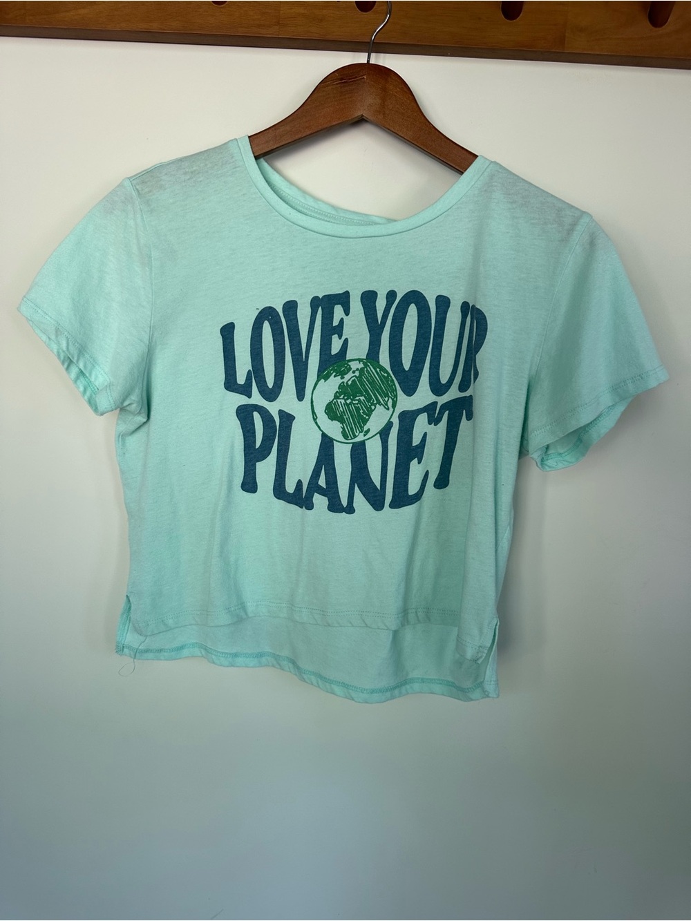 Love Your Planet Graphic Crop Tee - Mint Green